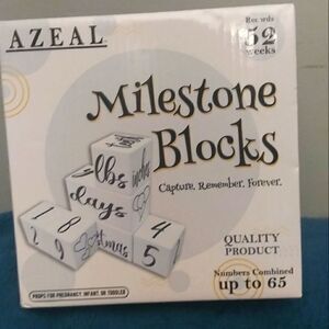Baby milestone blocks  